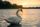 Wildlife photography landscape